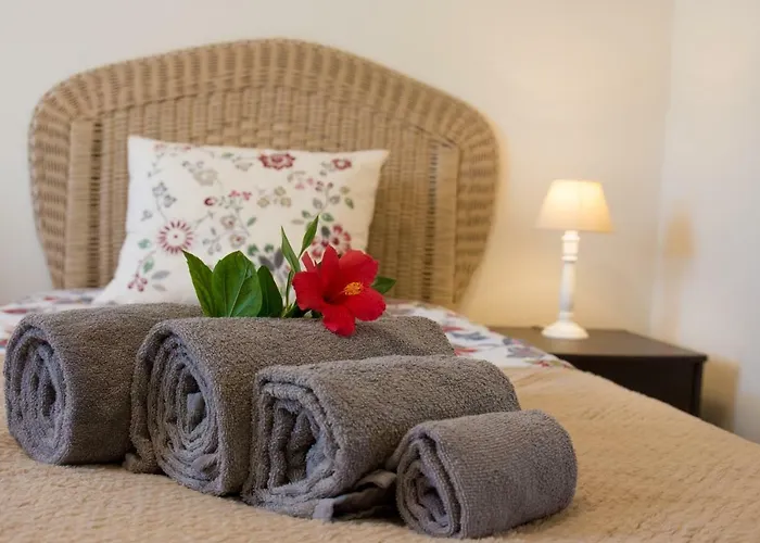 别墅 Yvonne,private Pool,private Parking 1,7 Km From The