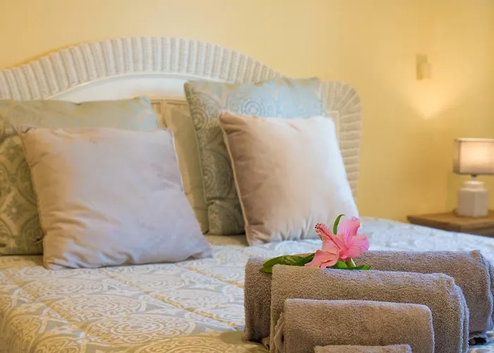 Yvonne,private Pool,private Parking 1,7 Km From The 别墅 *