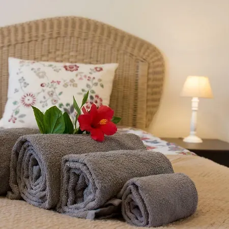 Villa Yvonne,private Pool,private Parking 1,7 Km From The Beatch