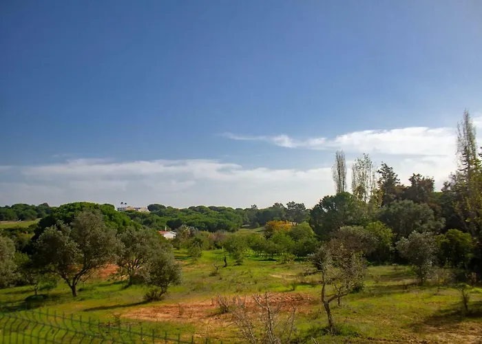 Yvonne,private Pool,private Parking 1,7 Km From The Beatch 빌라 알부페이라